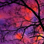 Nick_StainGlassSunset, Photo,12x20 $86.00