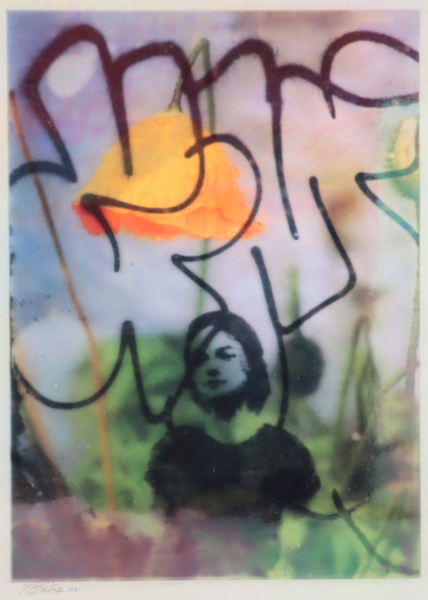 Pennie Baxter, "Go Ask Alice", 2021, Original photographs printed on two layers of textured glass, 13x15 inches