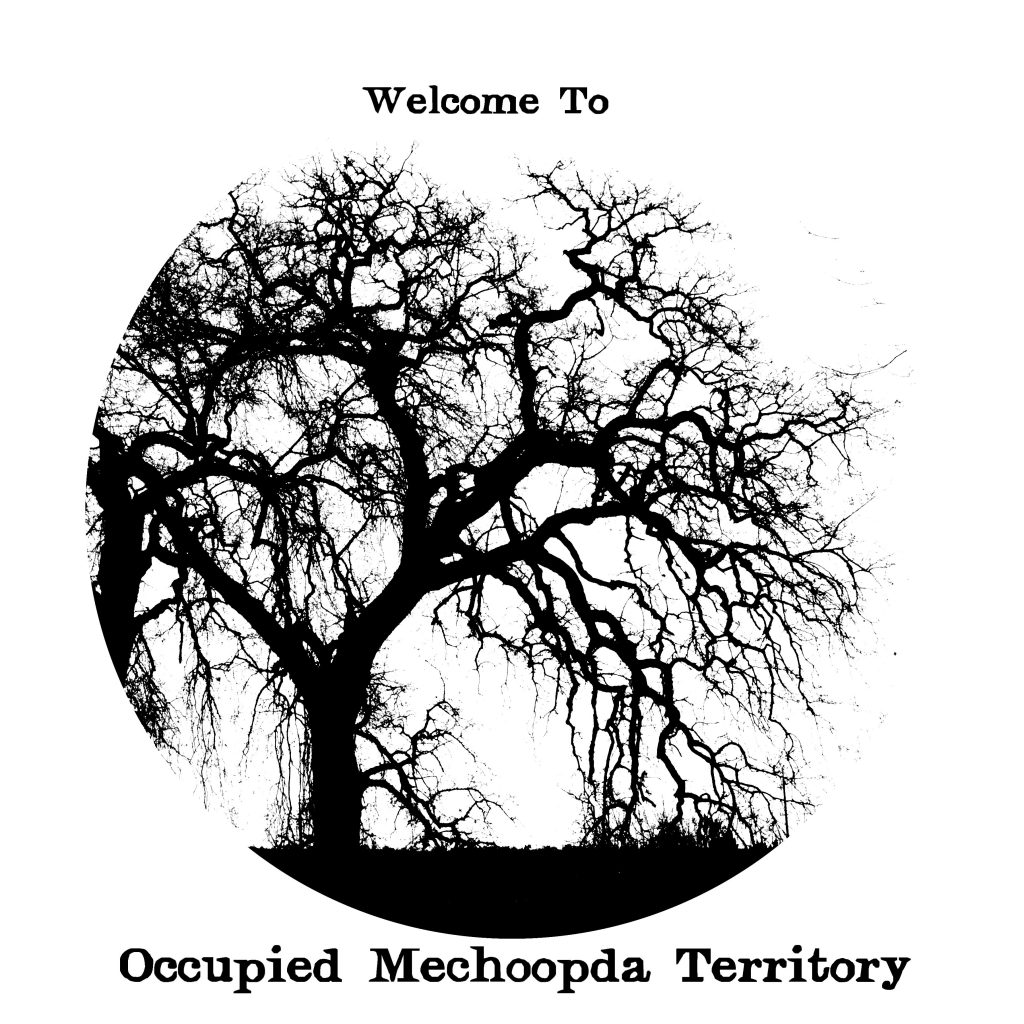 welcomemechoopda copy