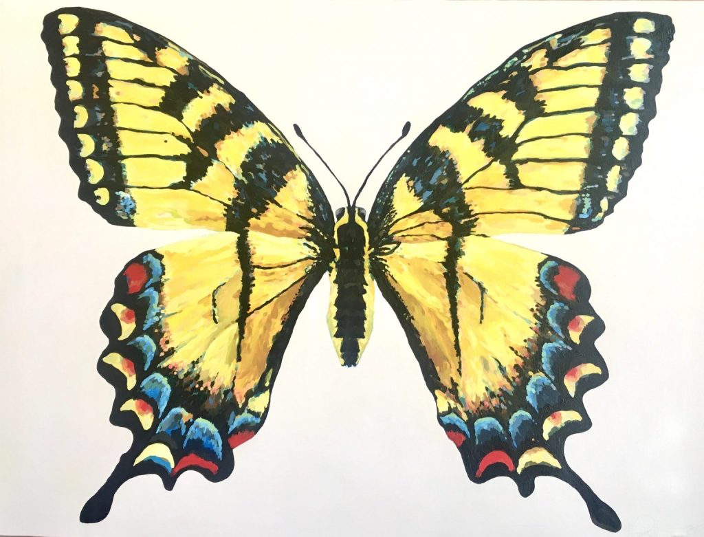 BrittaGoldman_Anise-Swallowtail-Papilio-Zelicaon-copy-2-1536x1172