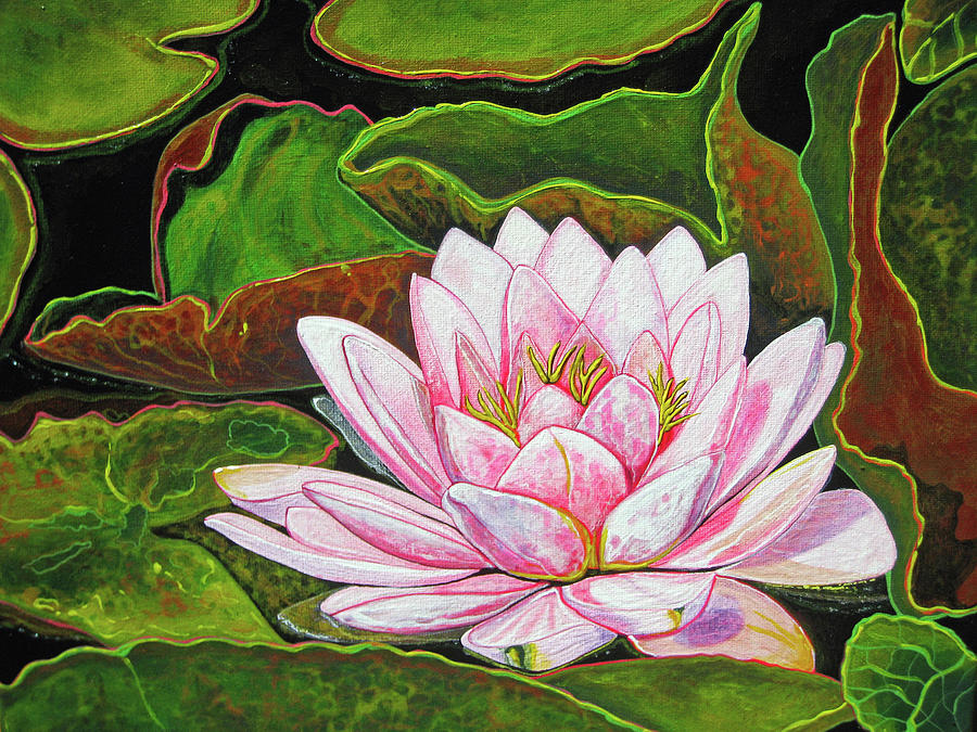 debbie-chamberlin_pink-water-lily